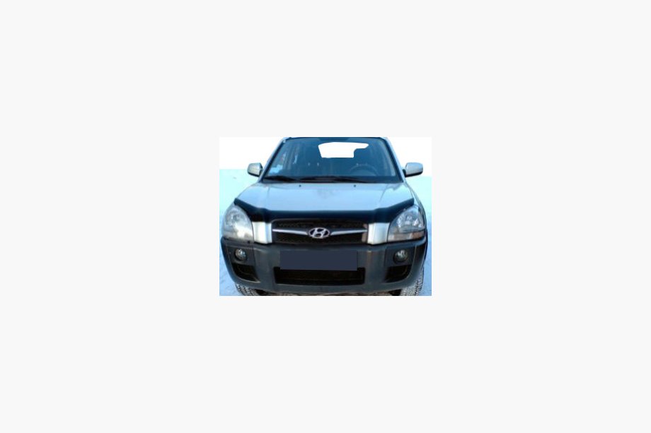 Hyundai Tucson JM 2004- Deflector capota (SIM) Image