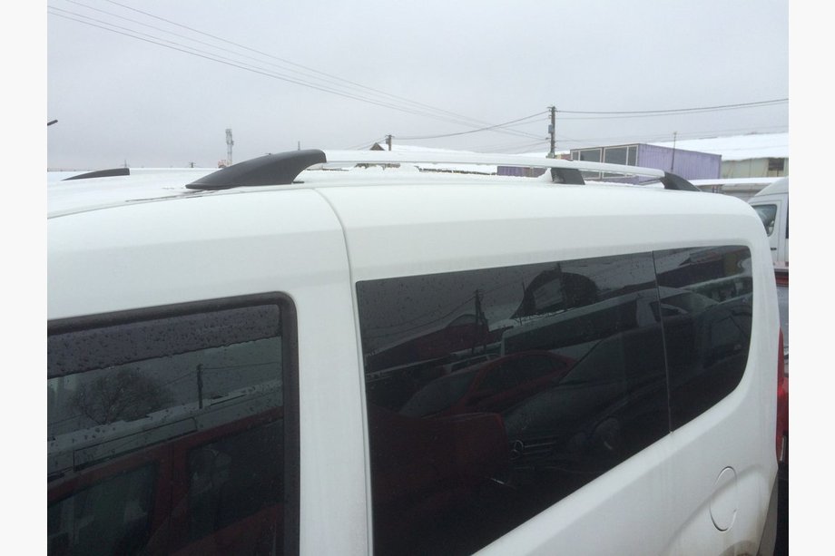 Fiat Doblo II 2010-2022 Bare Longitudinale Crom Maxi, Picioare Metalice Foto 2