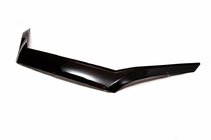 Ford Focus II 2005-2008 Deflector Capota ANV foto 1