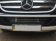 Mercedes Sprinter W906 2006–2018 Grila bara (otel inoxidabil) foto 2