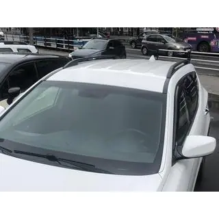 Relinguri universale Skyport 165 cm (negre) foto 2