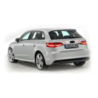 Ornament inox deasupra placutei de inmatriculare HB