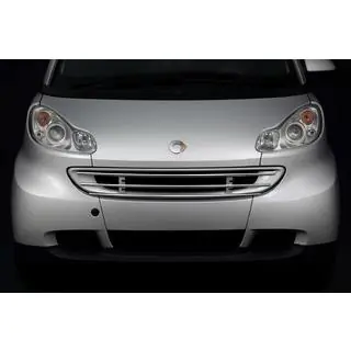 Protectie grila fata Smart 2007-2014 foto 1