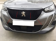 Peugeot 2008 2019- Rame grila (3 buc, inox) foto 1