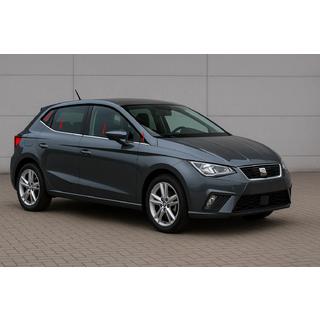Ornamente geamuri inox (4 buc) Seat Ibiza 2017- foto 1