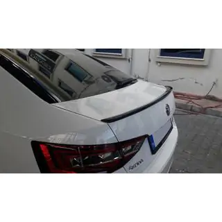 Spoiler (grund pentru vopsire) foto 1