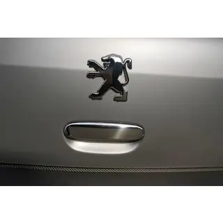 Ornament crom maner portbagaj (inox)