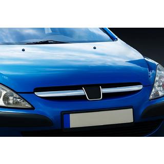 Capace grila cromate (2001-2005, 2 buc, inox)