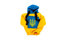 Husa schimbator viteze hanorac (Ucraina) foto 5