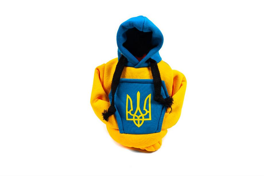 Husa schimbator viteze hanorac (Ucraina) Image