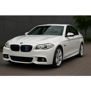 Insertii grila 2010-2013 (3 buc) BMW 5 Series F10/F11 2010–2016 foto 1