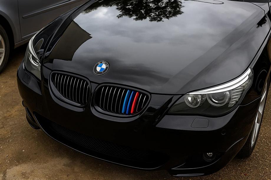 BMW 5 Series E60/E61 2003-2010 Rinichi (3 buc) Image