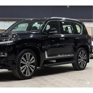 Molduri negre usi F-Sport alb+negru (4 buc, ABS) foto 4