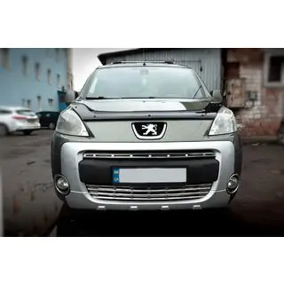 Capace grila (2 buc, inox) Peugeot Partner Tepee 2008-2018 foto 1