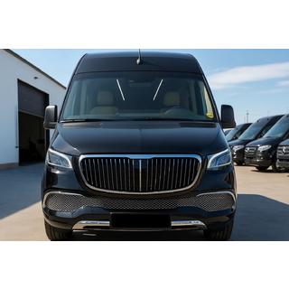 Bara fata cu grila (Maybach) foto 2