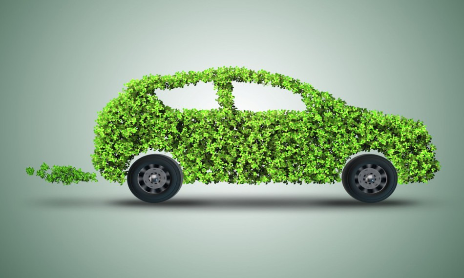 Conducerea ecologică: cum să vă reduceți impactul asupra mediului