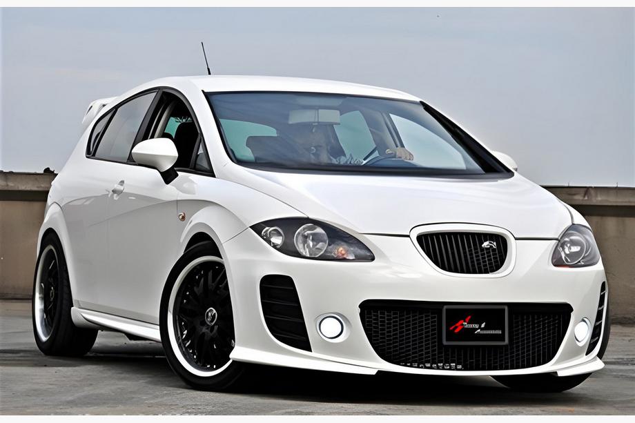 Seat Leon 2005-2012 Bara fata DPT Image