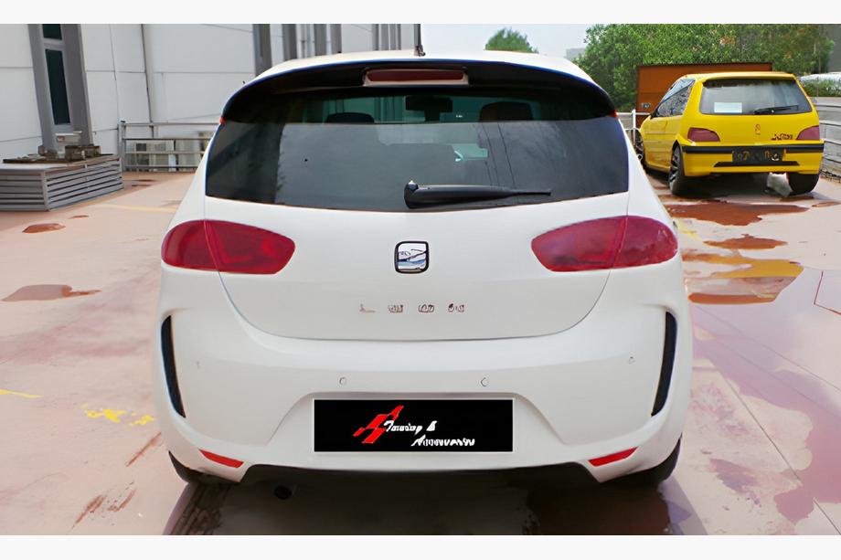 Seat Leon 2005-2012 Bara Spate DPT Image