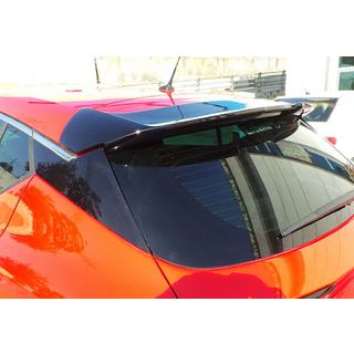 Spoiler DPT V-3 (Pregatit pentru vopsire) foto 3
