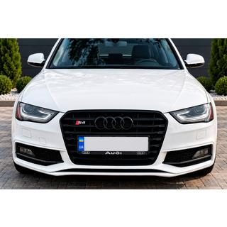 Grila Fata Neagra S-Style (2012-2015) foto 1