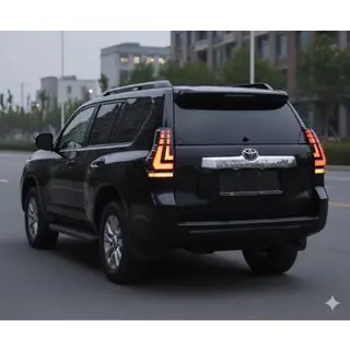 Stopuri spate Dragon V1 (2009-2023, 2 buc) Toyota Land Cruiser Prado 150 2009-2023 foto 1