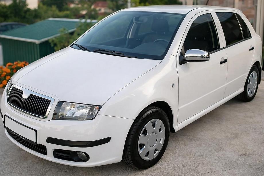 Skoda Fabia 2000-2007 Capace Oglinzi 2006↗ (2 buc, Otel Inoxidabil) Foto 1