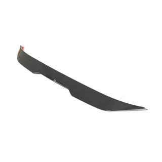 Spoiler PSM-Style (Carbon) foto 2