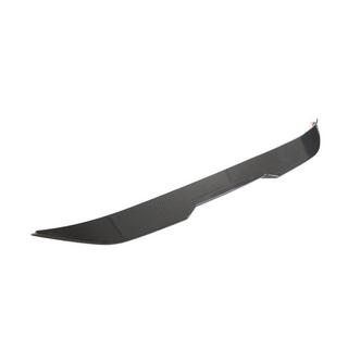 Spoiler PSM-Style (Carbon) foto 3