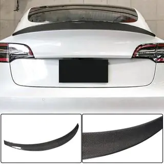 Spoiler Spate V10 (2017-2023, Carbon) foto 1