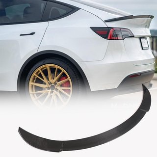 Spoiler Spate V1 (2020-2025, Carbon) foto 1