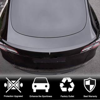 Spoiler Spate V5 (2020-2025, Carbon) foto 3