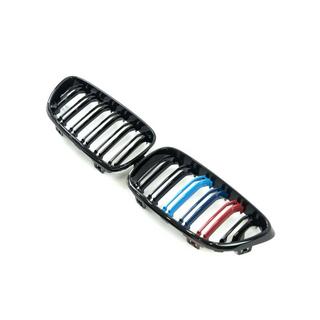 Grile radiator M-Look (M-Color) foto 4