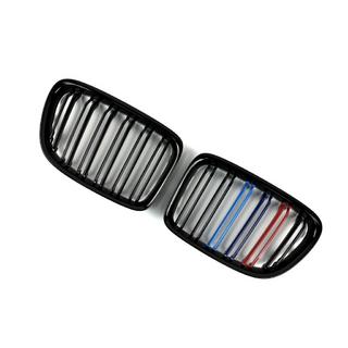 Grile radiator M-Look (M-Color) foto 3