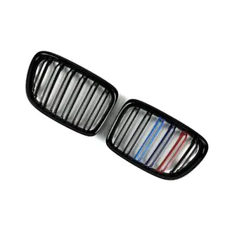 Grile radiator M-Look (M-Color) foto 3
