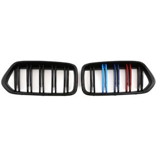 Grile radiator M-Look (M-Color) foto 2
