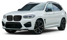 BMW X3 G01 2018- Rinichi 1 Bar (2018-2021, Negru Lucios) foto 1