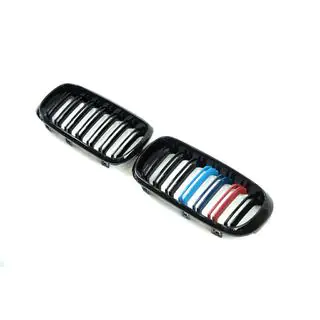 Grile radiator M-Look (M-Color) foto 3