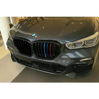 Grile Rinichi 1 Bar (2019-2022, M-Color) BMW X5 G05 2019–2026 foto 1