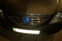 Dacia Logan I 2008-2012 Capace Grila din Otel Inoxidabil OmsaLine - Otel Inoxidabil Italian foto 3
