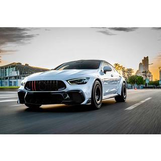 Grila Fata GT Panamericana GT-R (2018-2022) Mercedes AMG GT 4 X290 2018- foto 3
