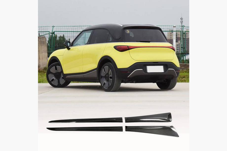 Smart 1 2022- Praguri Laterale (Carbon) Image