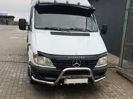 Mercedes Sprinter W901/902/903/904/905 1995–2006 Bullbar Exclusive (inox) foto 1