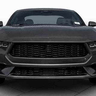 Grila radiator (pentru S650, Carbon) foto 2
