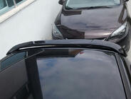 Peugeot 206 1998-2024 Spoiler superior Meliset (grunduit pentru vopsire) foto 4