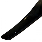 Lexus RX 1997-2002 Deflector capota (HIC) foto 2