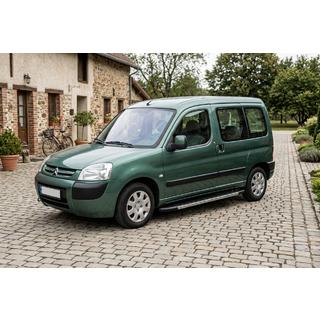 Praguri Laterale Duru (2 buc, Aluminiu) Citroen Berlingo 1996-2008 foto 1