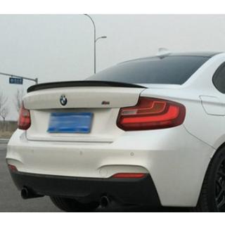 Spoiler P-Style (pentru F22, grunduit pentru vopsire) foto 1