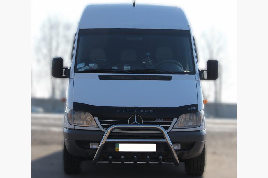 Mercedes Sprinter W901/902/903/904/905 1995–2006 Bullbar WT003 (Inox) Image