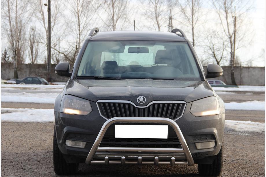Skoda Yeti 2009-2017 Bullbar WT003 (Inox) Image