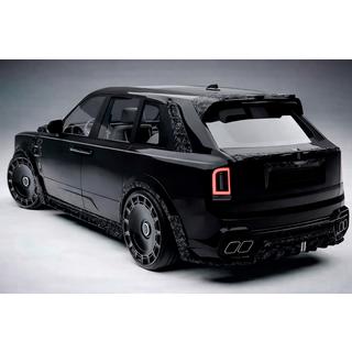 Kit caroserie MNSR Carbon (pentru 2024+) foto 3